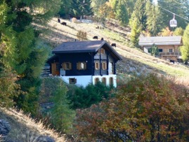 Chalet-Perles-des-Alpes-3