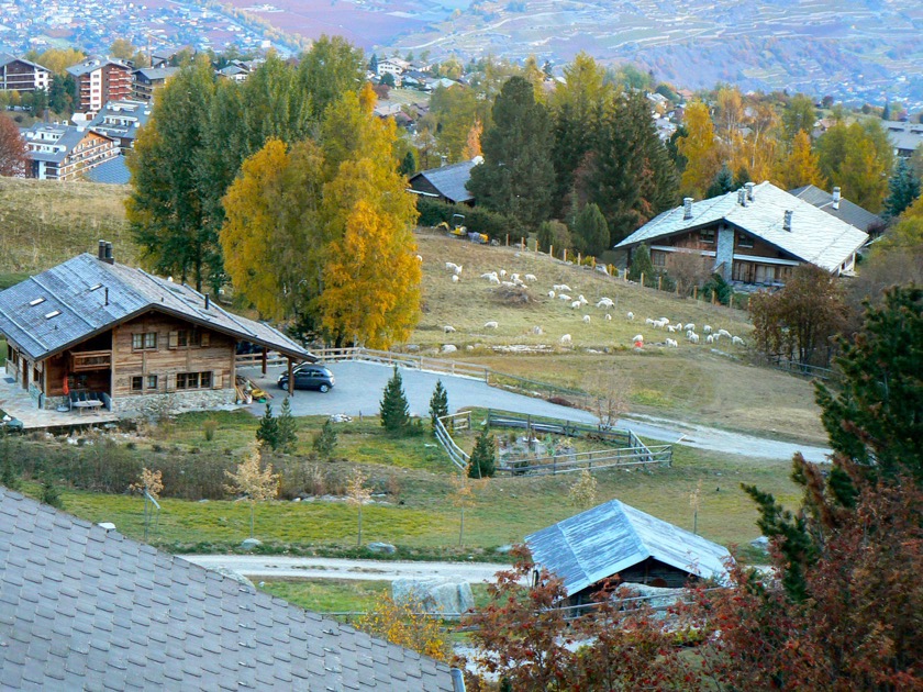 Blick auf den nahen Chalets