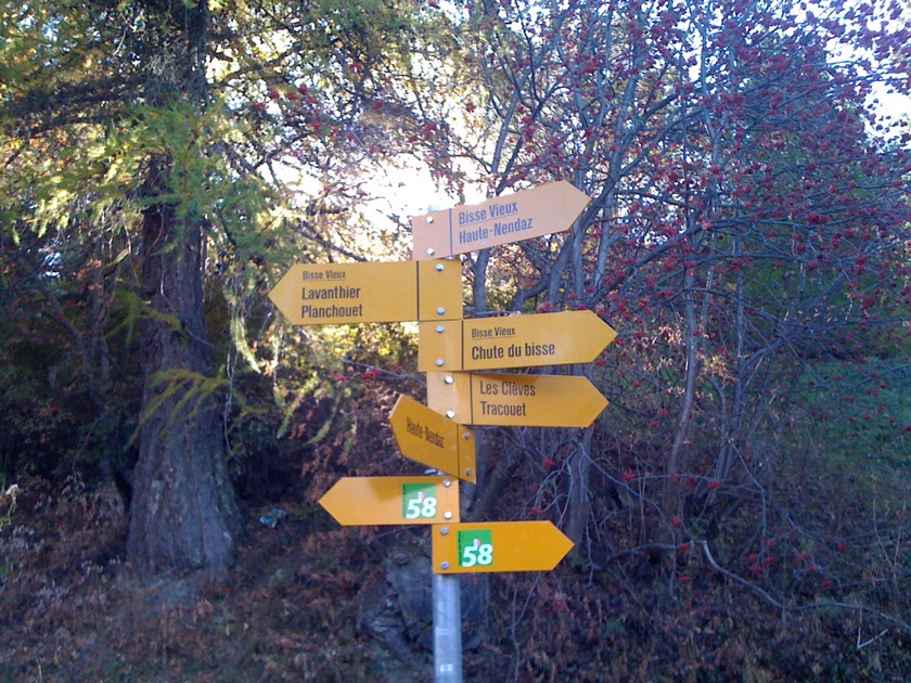 Viele Wanderwege vom das Chalet