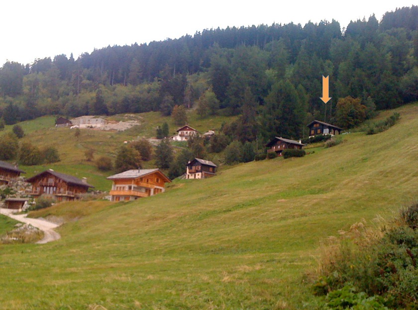 Situé en bordure de prairie alpine et de forêt