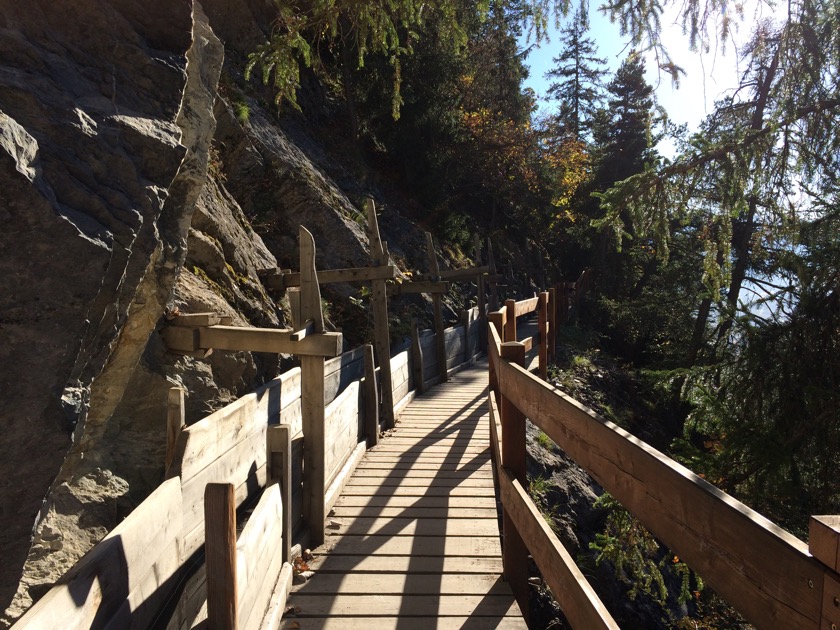 Des promenades variées, pour tous les niveaux