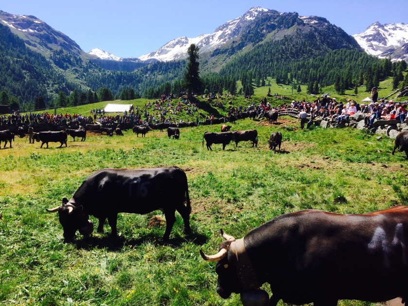 L'environnement direct