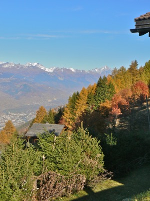 Herfstkleuren in de alpen, Haute-Nendaz